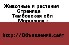  Животные и растения - Страница 10 . Тамбовская обл.,Моршанск г.